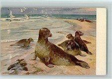 13063685-Meinholds animal picture no. 93-seal seal
