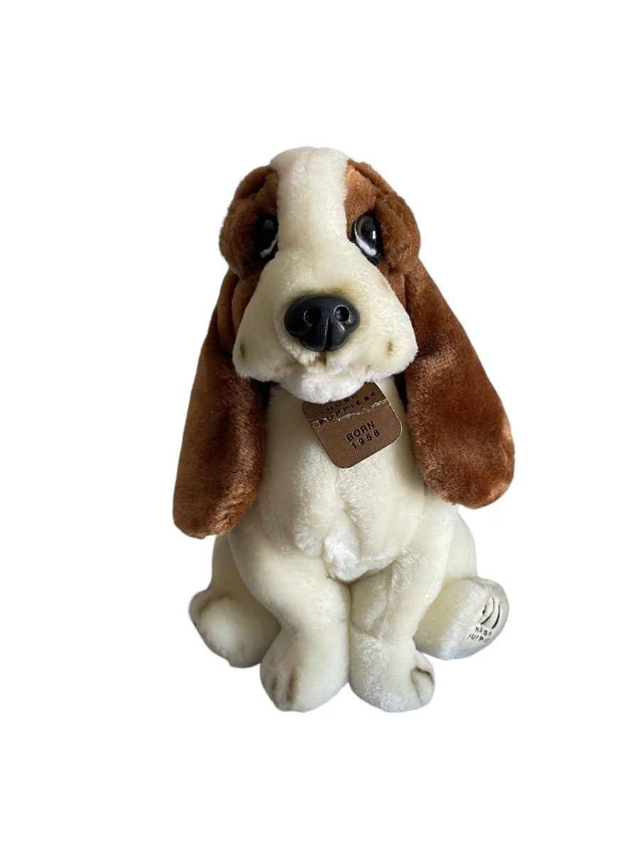 Hush 2024 puppies dog