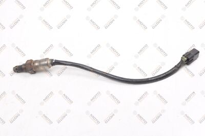 TRIUMPH TRIDENT 660 Lambda Sonde Lambdasonde AZD4002-BA002  2023 BJ