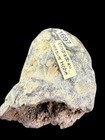 German Agate Thunder egg Germany — photo 2