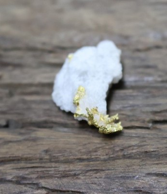 Goldstufe Eagles Nest Mine California USA - Maße 26x18x8,5mm Gesamtgewicht 3,62g