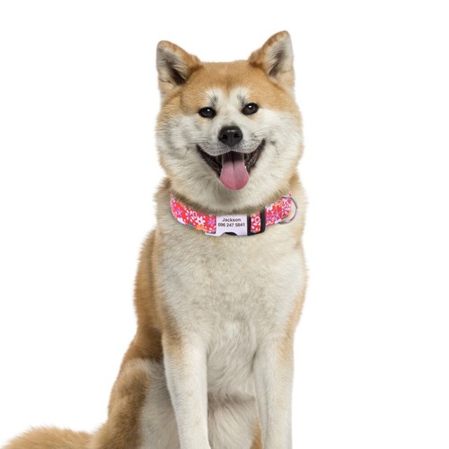 Floral Pet Dog Collar Personalized Name Number ID Tag Engraved Adjustable S M L - Picture 18 of 32