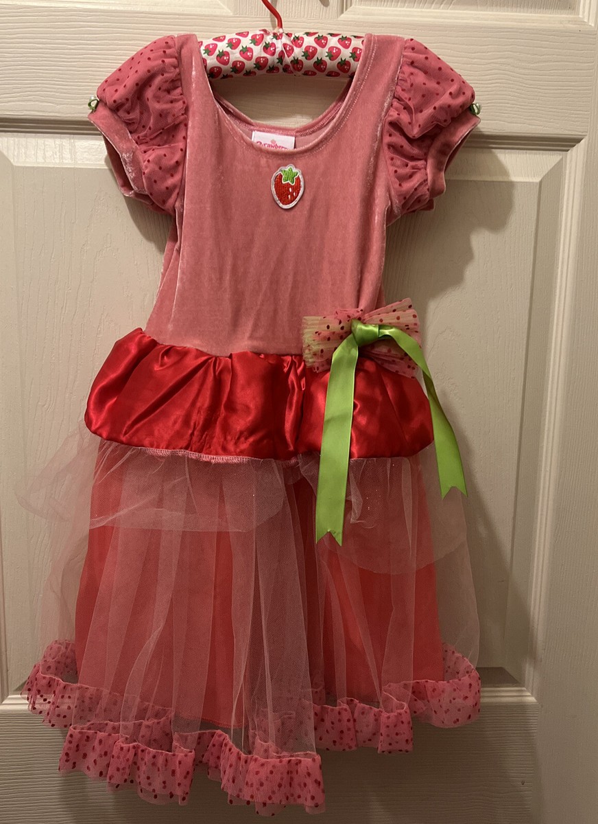 Pink STRAWBERRY SHORTCAKE Halloween Fancy Costume Tulle Dress Sz 3+  W/hanger | eBay