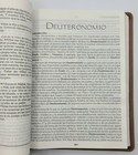 Bild 5 von 9
