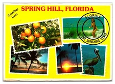 Vintage 1980s- Greetings From Spring Hill - Florida Postcard (Posted 1983)