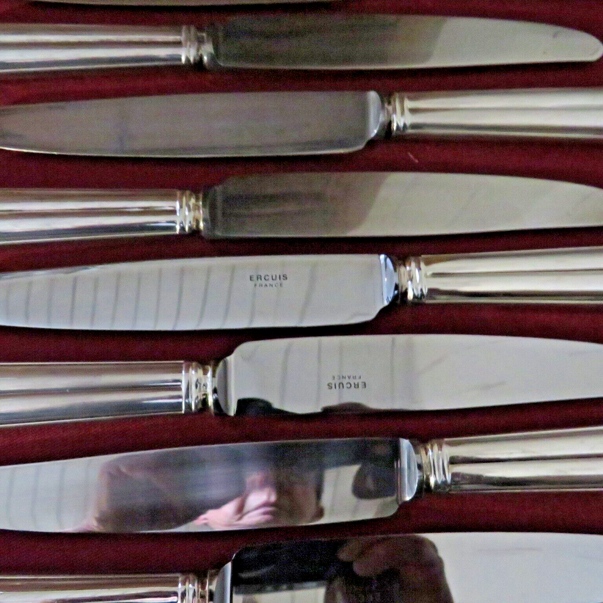 12 Grands Couteaux ERCUIS Métal Argenté Modèle LAURIER Couverts 25cm Table Gs 09 Llf