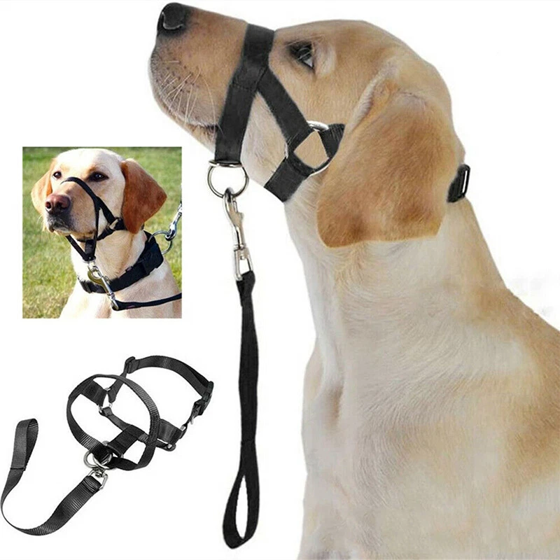 Ancol no hotsell pull dog harness