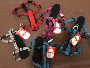 kong harness sizes