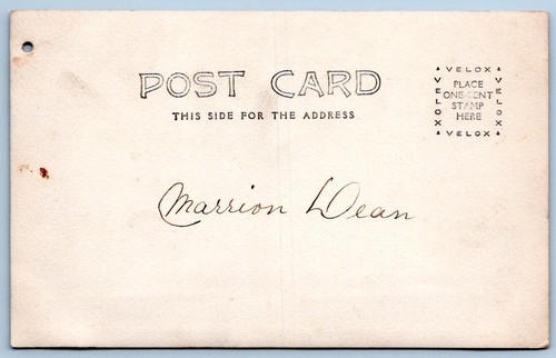 1906 RPPC "ABBIE'S LITTLE DOGS" IN WAGON to MARRION DEAN REAL PHOTO POSTCARD - Picture 3 of 3