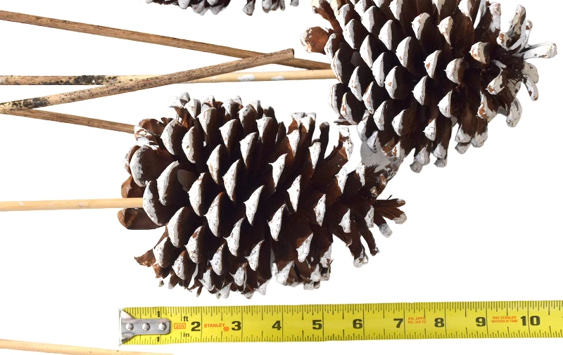 22pc Christmas Floral Decorations Set XLg 7" Pine Cone 32"  Birch Log Xmas Balls - Image 4 of 4