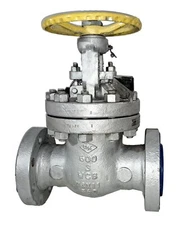 PK Valve 3" WCB Gate Valve Class 600 API 600 TNC-3942-018