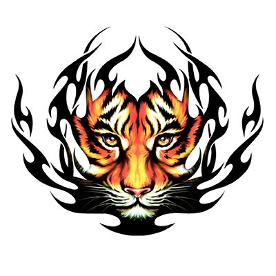 Sticker Tiger Tribal Sticker Cafano Car CM 90 x 75