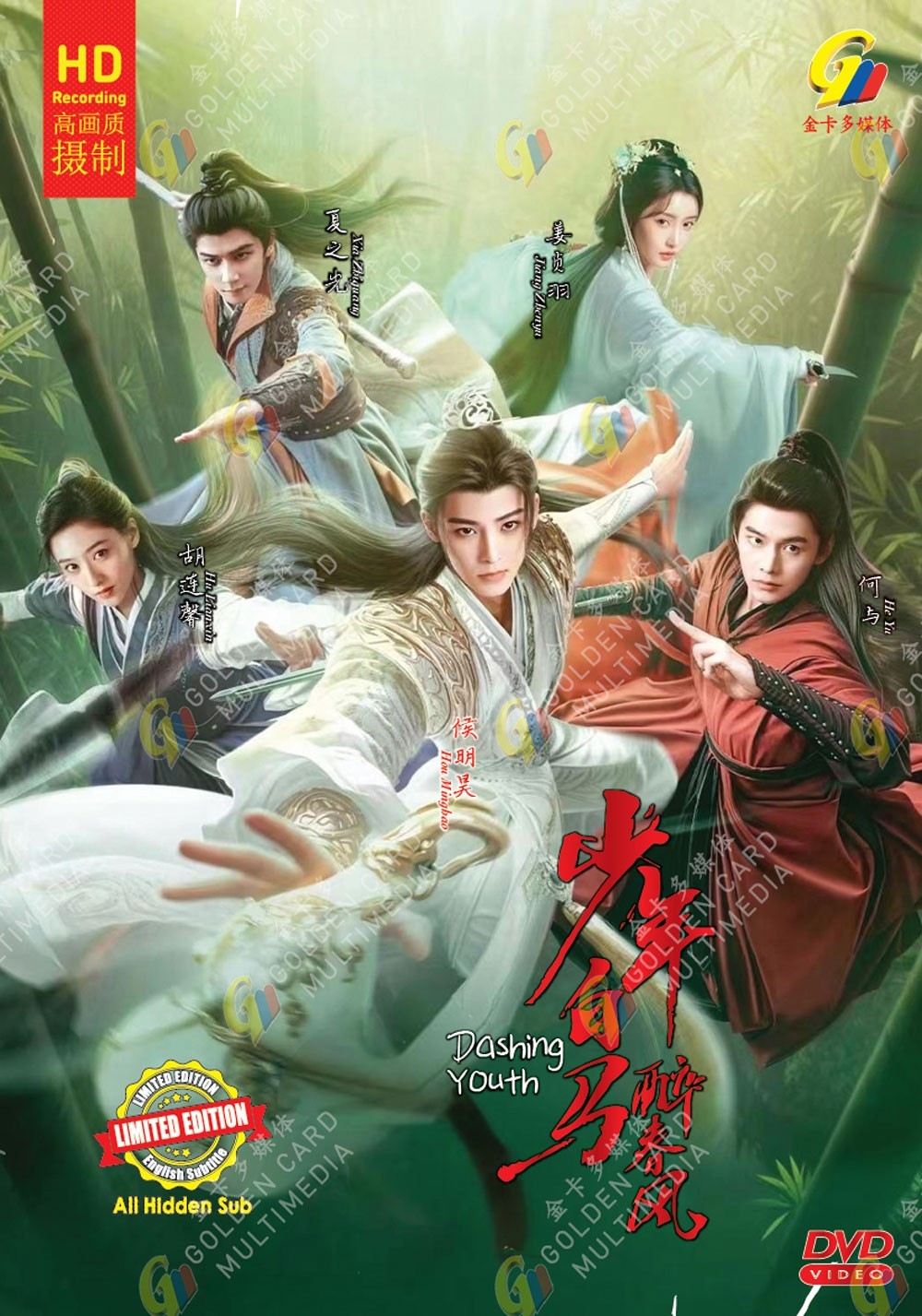 CHINESE DRAMA DVD DASHING YOUTH 少年白马醉春风 VOL.1-40 END *ENG SUBS**REG ALL*