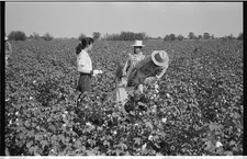 Photo:58-8012 - Job from LOOK titled Texas] [Image