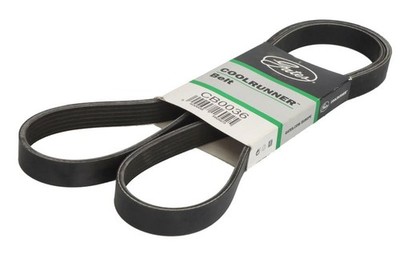 GAT - Mehrrippenriemen für THERMO KING SL 100e; SL 200e; SL 400e