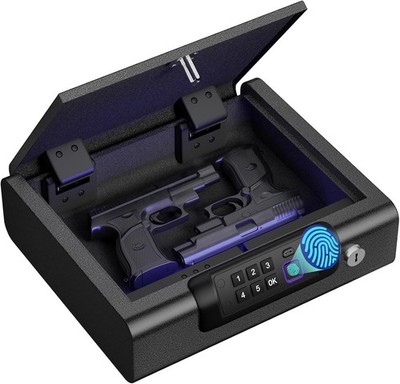 FORTRESS Portable Security Safe