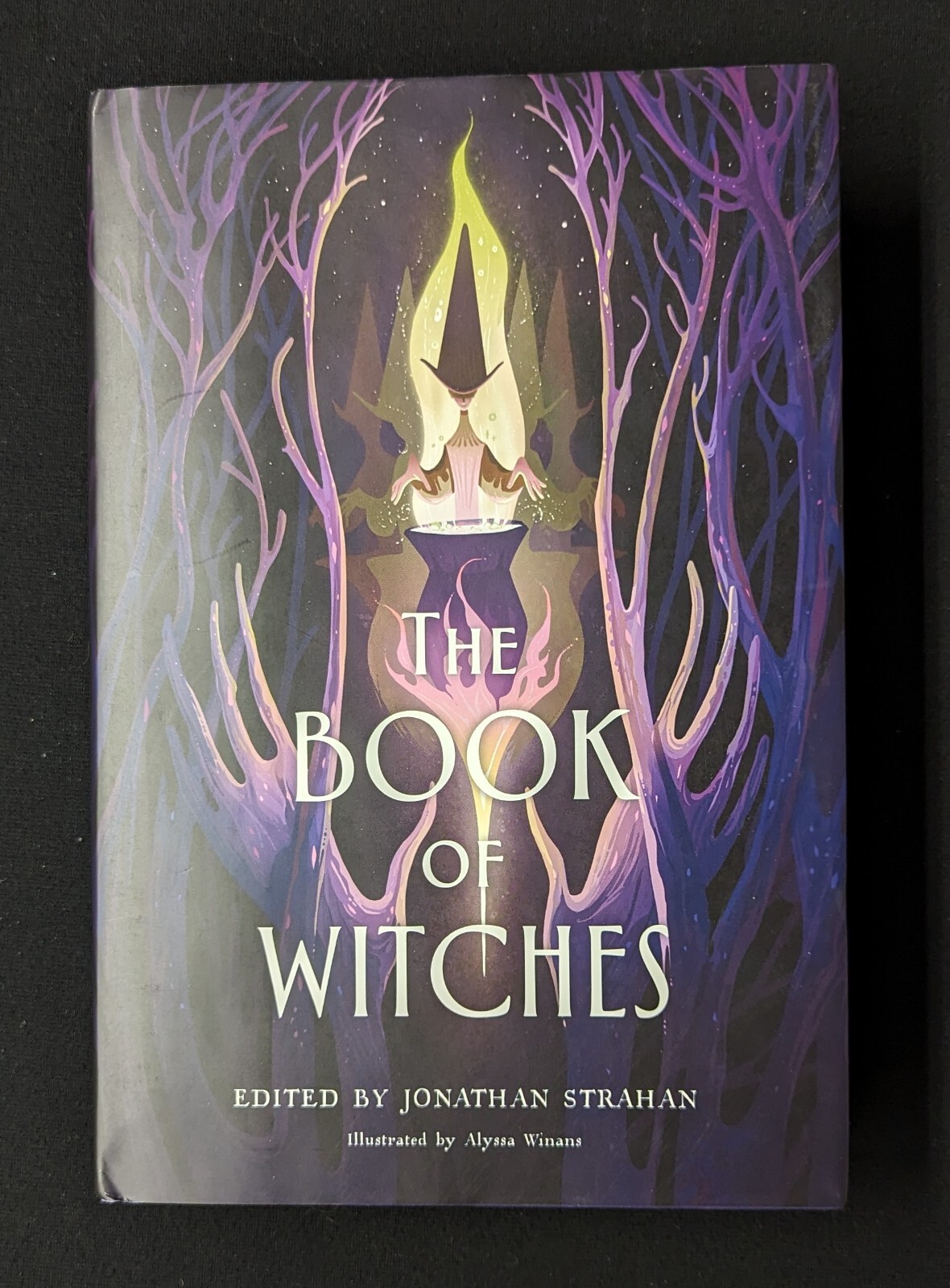 The Book of Witches edited by Jonathan Strahan mn3239 9780063113220| eBay