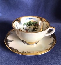 Vintage Tirschenreuth￼. Bavaria. ￼A Fine Cup and Saucer. Rhein fall.