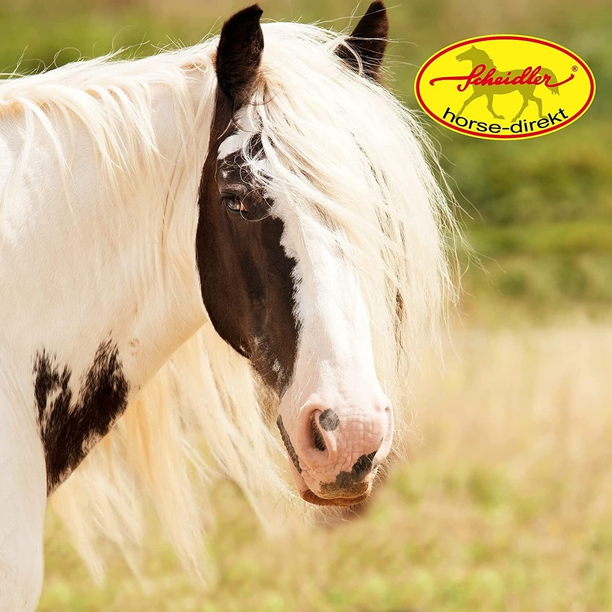 Fellspray Für Pferde – 5 Liter Kanister, Für M? Produktbild-Vorschau 9