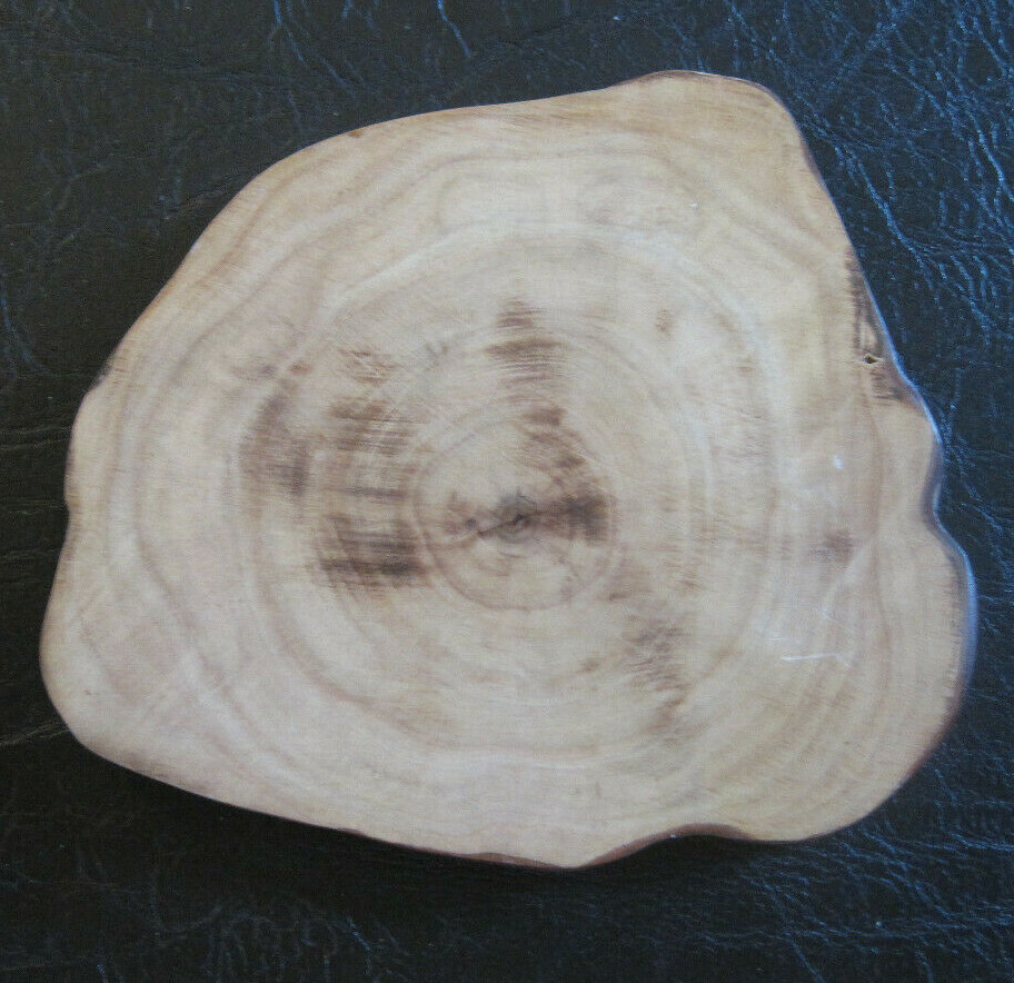 6 New Anthropologie Wood Drink Coaster Beautiful eBay