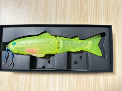 Deps NEW SLIDE SWIMMER 250 HEAD SHOT 