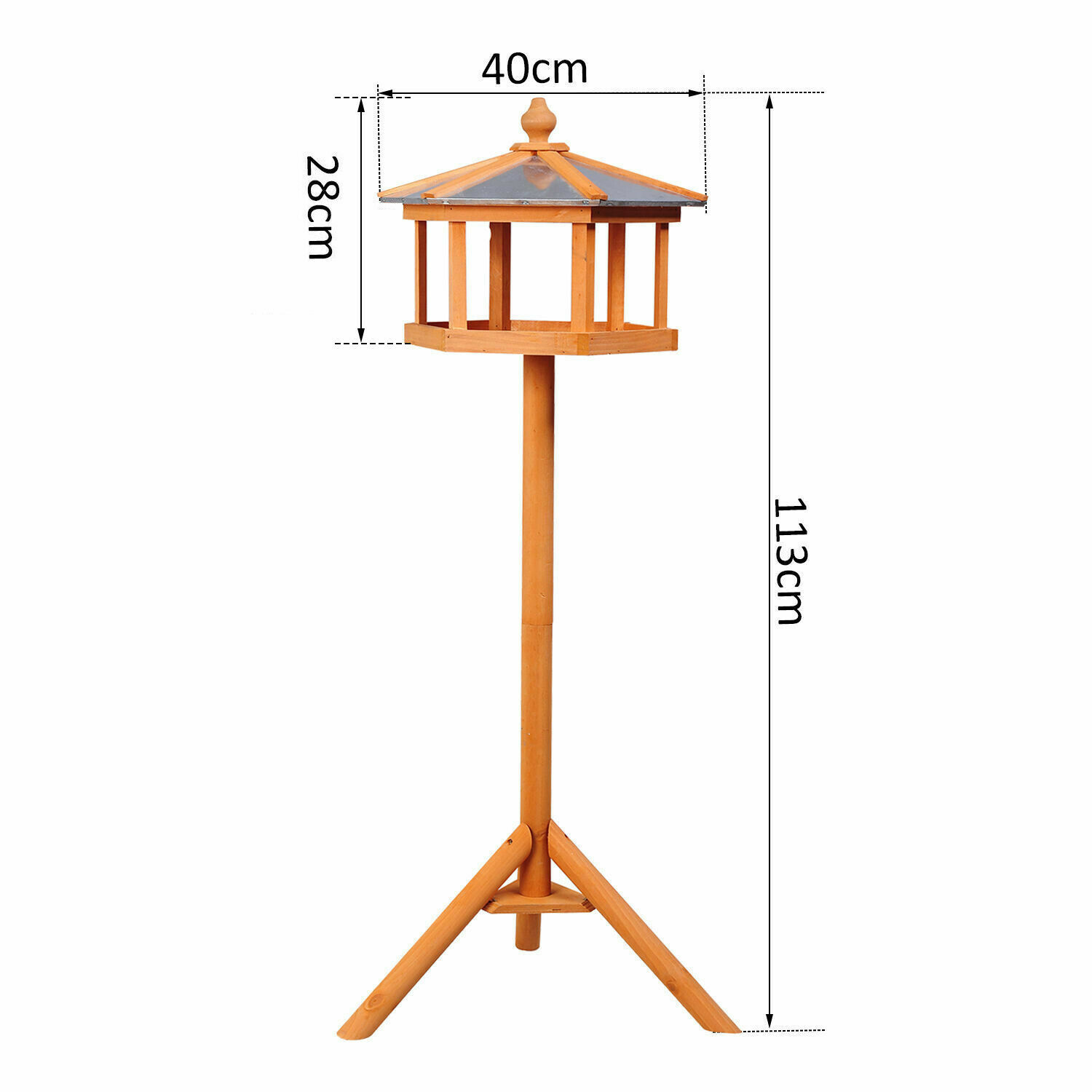 large image 8