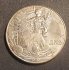 Beautiful Toned - 1999 American Silver Eagle 1 Troy Oz .999 Fine Silver