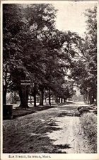 Elm Street Hatfield MA 1909 Postcard Dirt Road D57