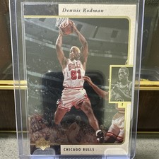 Upper Deck 1995-96 SP Dennis Rodman Chicago Bulls NBA Basketball Card #22