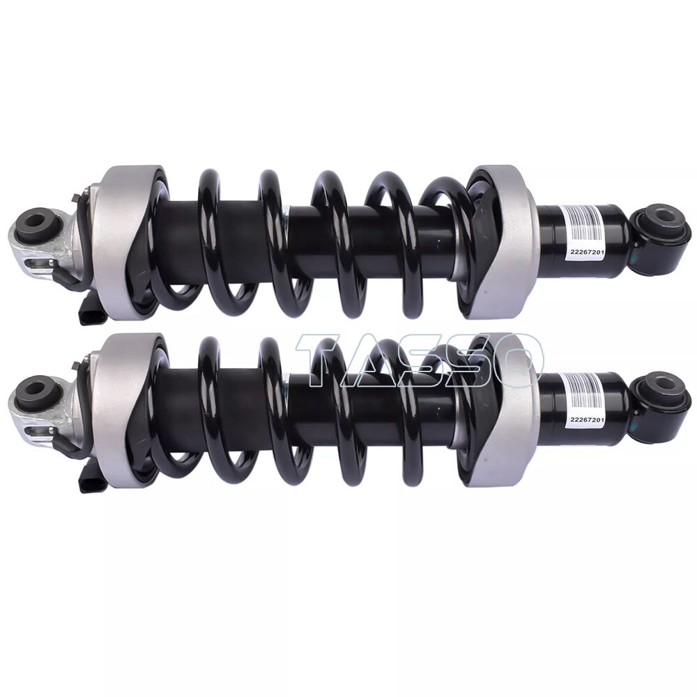 2X Rear Left Right Shock Absorber Strut MagneRide For Audi R8 V8 V10 2007-2015