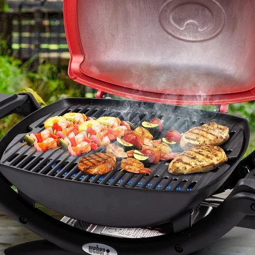 Cast Iron Grate for Q200, Q220, Q2000, Q2200,Q2400 Series Replacement Parts AU - Picture 4 of 11