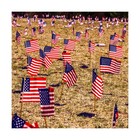 Tudomro 300 Pcs Mini American Flags on Stick 5x8 Inch Small Us Flag | eBay