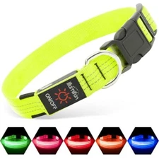 Illumifun LED Dog Collar, USB Rechargeable Light Up  Assorted Sizes , Colors 