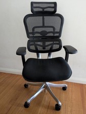 Ergohuman Ergonomic Office Chair Black (Mesh and Cloth) - Great Condition