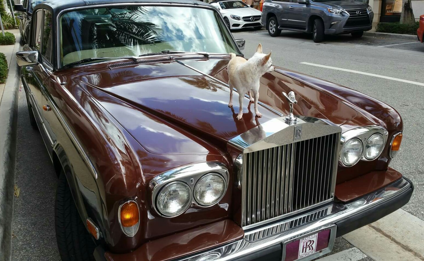 ROLLS ROYCE BENTLEY LOCKS KEYED CORNICHE SHADOW WRAITH CLOUD WE KEY YOUR LOCKS