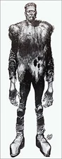 Famous Monsters Frankenstein 1962 Poster (14 X 36)  14BMB432