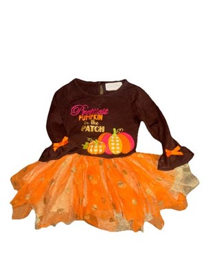 Emily Rose Toddler Girl's Dress Size 18 M Prettiest Pumpkin In The Patch EUC