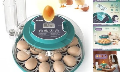 Automatic Egg Hatcher with LED Screen, Large Egg Incubator with Adjustable 