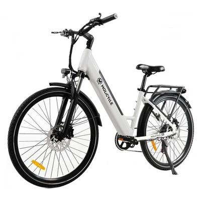 Molicycle R1 E-bike Damen 26 Zoll 250W E-Cityrad 36V 14,5Ah Hydraulische Bremsen