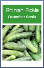 Rhinish Pickle Cucumber Seeds | Fresh NON-GMO Cucumber Seeds | Heirloom Seeds