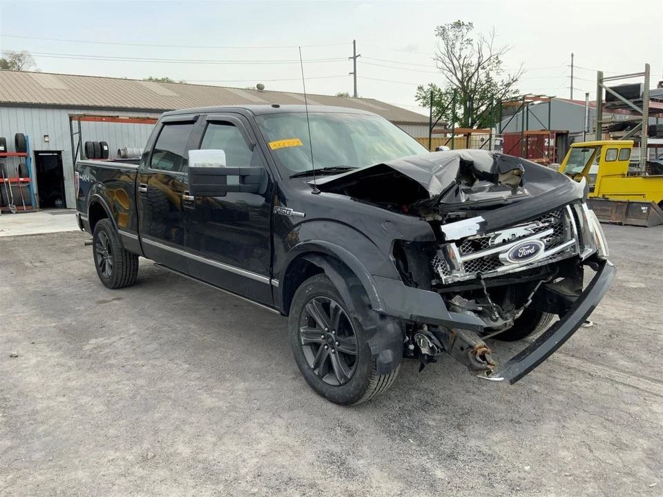 Ford F-150 2010 pasajero puerta delantera panel de moldura marrón platino OEM Foto 3 de 4