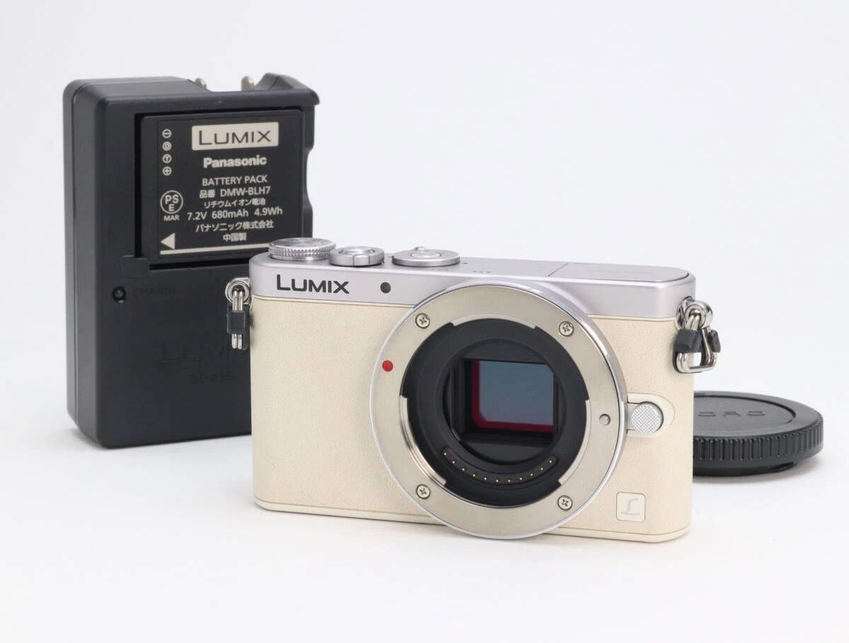 Panasonic LUMIX GM1 14-16.9MP Digital Cameras for Sale | Shop New