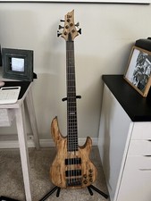 ESP LTD B-205SM 5-String Bass Guitar - Spalted Maple