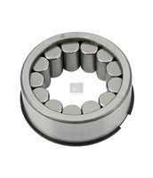 Zylinderrollenlager DT Spare Parts 1.17110 D:305Mm D:546Mm H:22Mm