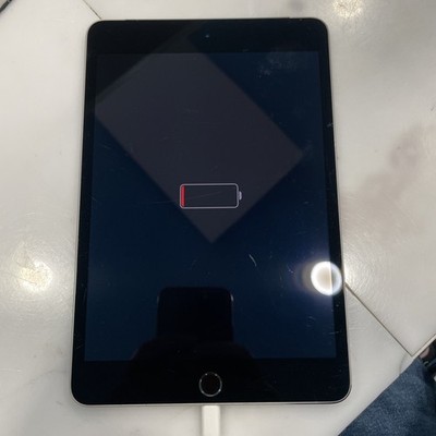 iPad Mini 4 Wi-Fi Cellular 128GB  Space Gray, voll funktionsfähig