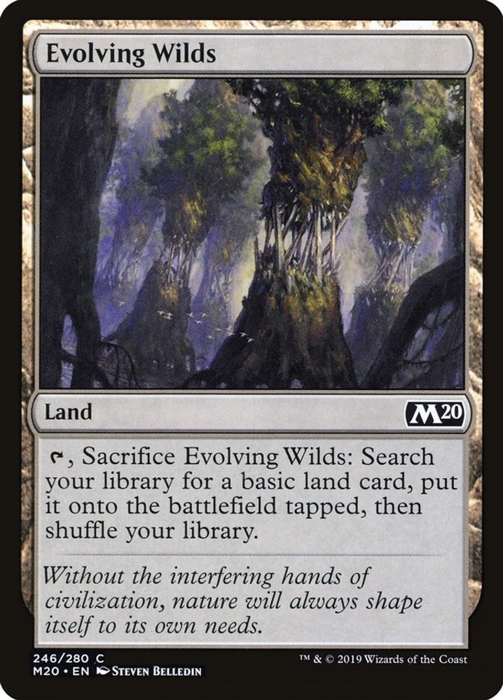 LP - Evolving Wilds M20 - 246 Core Set 2020