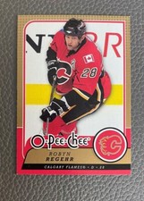 2008-09 O-Pee-Chee Hockey #352 Robyn Regehr - Flames