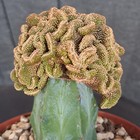 Foto 22 di 24
