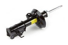 ACDelco Genuine GM Strut Assembly