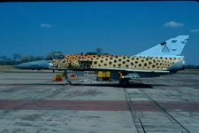 M478  342  SAAF     CHEETAH   SPECIAL COLORS  ORIGINAL KODAK SLIDE